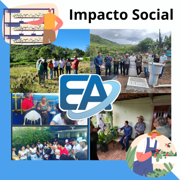 Inserção social